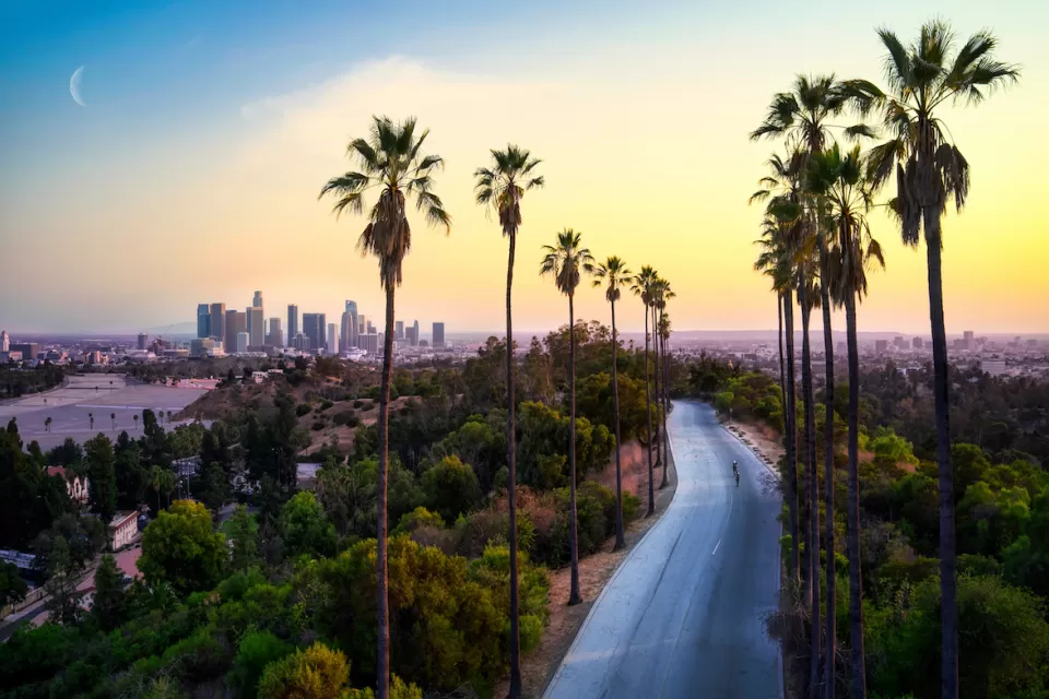 Sunset view of tall palm trees and shorter trees lining empty street with Los Angeles skyline and crescent moon in background.